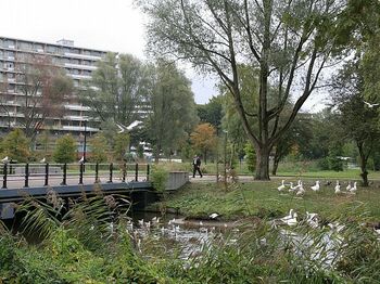 Gemeenten bezuinigen extra op openbaar groen