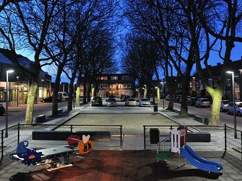 24 Platanen vormen jaarklok plein Den Hoorn