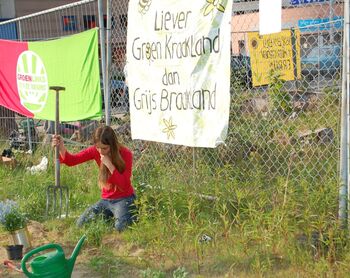 Guerrilla gardening in openbaar groen