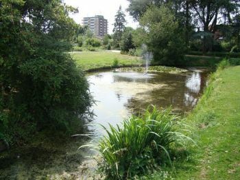 Leerlingen participeren bij herinrichting park