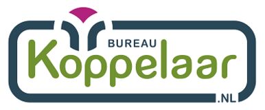 Eelco Koppelaar - specialist in speelruimtes image
