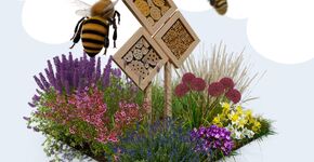 urban bee garden 
