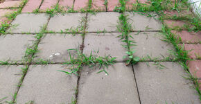 Een versteende tuin? Meer belasting betalen!