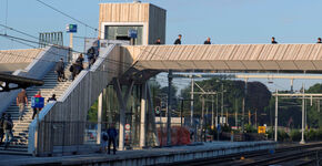 Accoya geeft voetgangersbrug Dieren bijzondere uitstraling