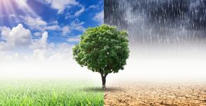 Topkenniscentrum voor klimaatadaptatie in Nederland
