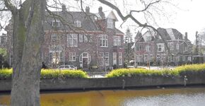 Boom omgewaaid? Vraag een nieuwe bij de gemeente Haarlem