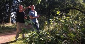 Risicogestuurd beheer met de bosplantsoen-tool