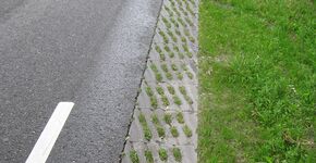 Afvoer hemelwater problematisch door verstening? Niet nodig!