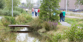 Groen en duurzaam Majoppeveld in stroomversnelling