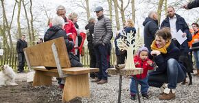 Bank van Haarlems hout in de Haarlemmerhout