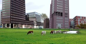 Brabantse bedrijventerreinen worden groener