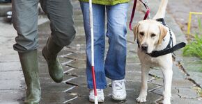 Geleidehonden en baas kwetsbaar door Shared Space