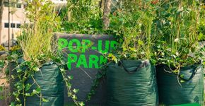 Pop-up stadspark op Grotekerkplein in Rotterdam