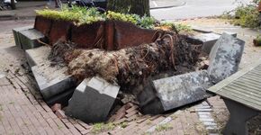 Gevaarlijke situaties stedelijke omgeving door omvallende bomen