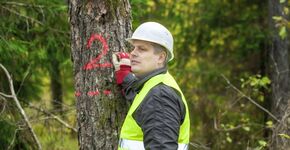 Boombeheer moet integraal en risicogericht gebeuren