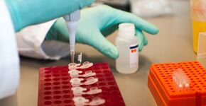 DNA-analyse als extra hulpmiddel bij veldonderzoek