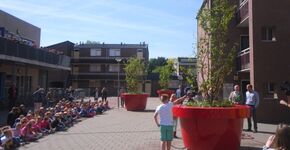 Wijkbewoners en kinderen Arenberg adopteren bomen