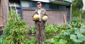Stadslandbouw in Rotterdam: bottom-up, spontaan en aanstekelijk