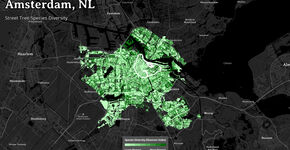 Onderzoek Diversitree toont zin van stedelijke boomdiversiteit