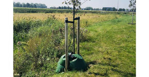 Handige instructiefilmpjes over bescherming van bomen