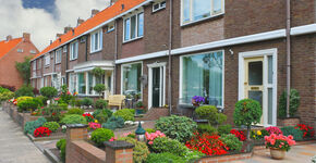Planten krijgen tweede leven door logeertuin in Amersfoort