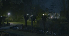 Planten reageren op beweging in Rotterdam