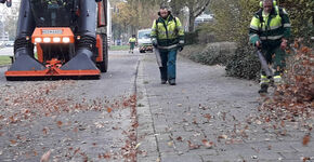 Biologische bodemverbeteraar aan de slag in Zwolle