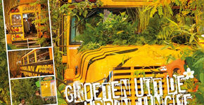 Groeten uit de urban jungle
