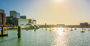 Floriade krijgt dobberend bos uit Rotterdam