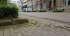 Onveilige situaties door bomen in verhardingen 