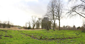 Stukje 'niemandsland' in Zaartpark Breda