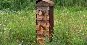 Hotel helpt insecten voortbestaan