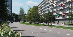 Lommerrijke laan naar het hart van Tilburg
