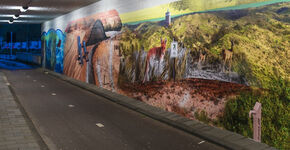 Leidse fietstunnel beplakt met kunstwerk