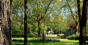 Burgers onderhouden openbaar groen