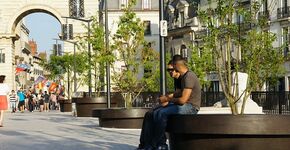 Bomen in Mega Bloempotten vergroenen centrum Dijon