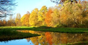 Herstel stiltegebied Brediuspark Woerden 