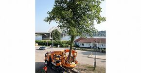 Zomerverplanten met de grootste verplantmachine van Europa