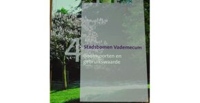 Stadsbomen Vademecum 4
