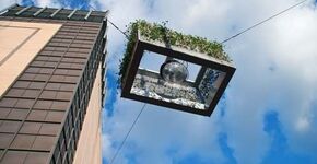 Greenspotlights in centrum Eindhoven