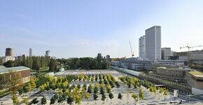Museumpark Paviljoen Rotterdam