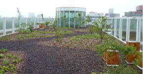 Natuurlijke daktuinen op industriële gebouwen