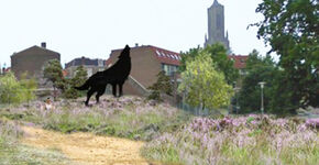 Realisatie Pop Up Park Arnhem