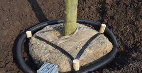 Clever Green Solution concept in Enschede