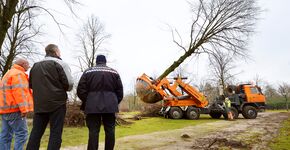 Spectaculaire bomenverplanting Eindhoven