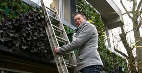 Groene gevel voor Vogelbescherming