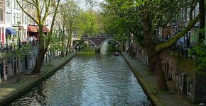 Grootste groene gevel Utrecht geplaatst