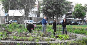 'Bewoners Beheren Buurt' in Oss