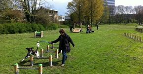 Eerste openbare hondentrimbaan in Utrecht