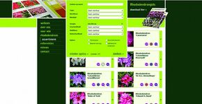 Rhododendron website gelanceerd